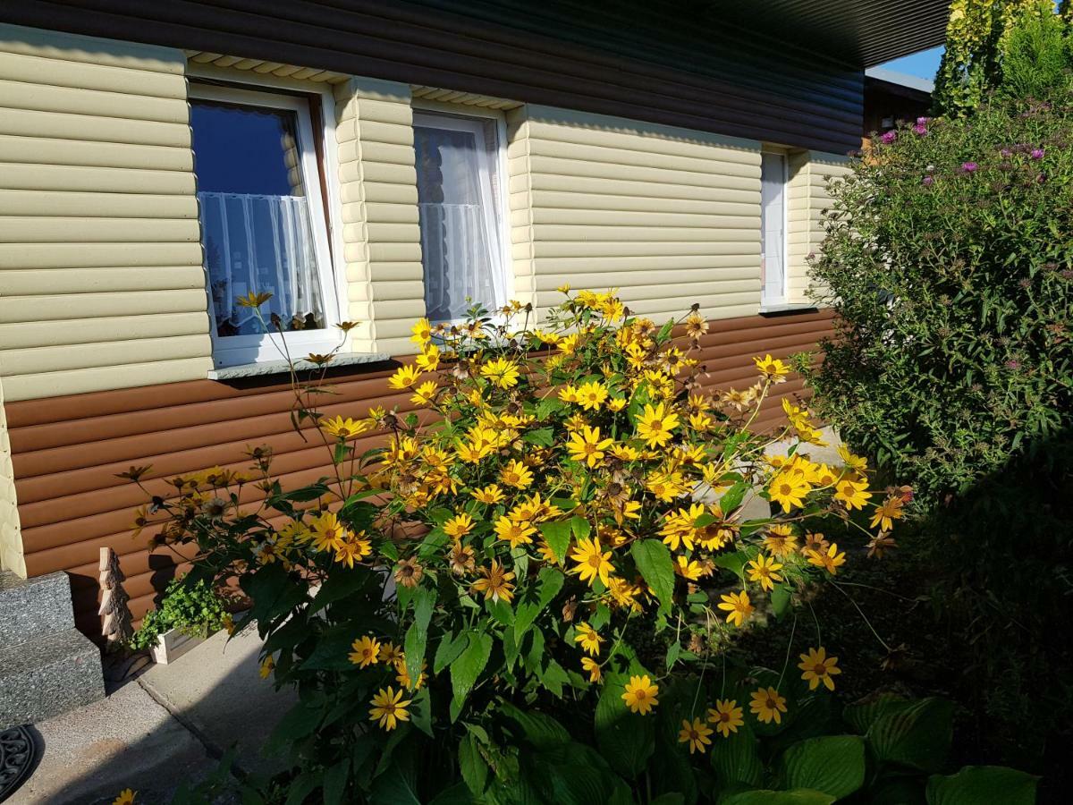 Ilmhofpension Bad Berka Exterior foto